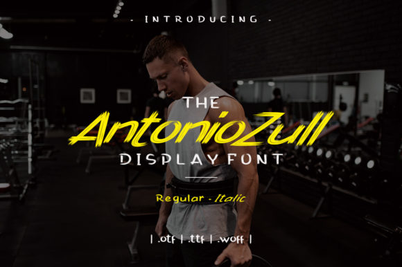 Antonio Zull: A Brushed Display Font for Urban Design