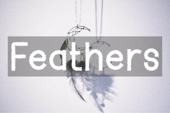 Feather Font: Bold & Unique