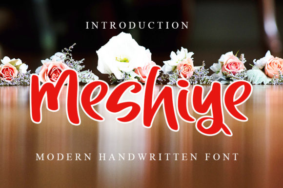 Meshiye Font: Playful Display for Web Design