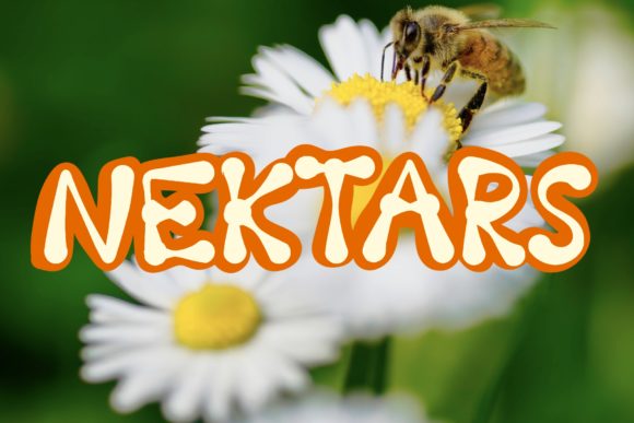 Nektars: A Bold Display Font for Creative Projects