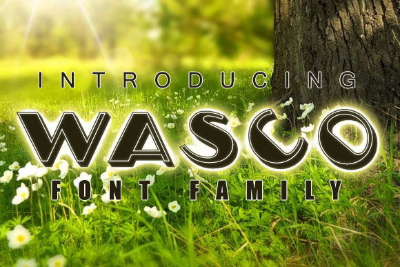 Wasco: A Fun Display Font for Creative Makers